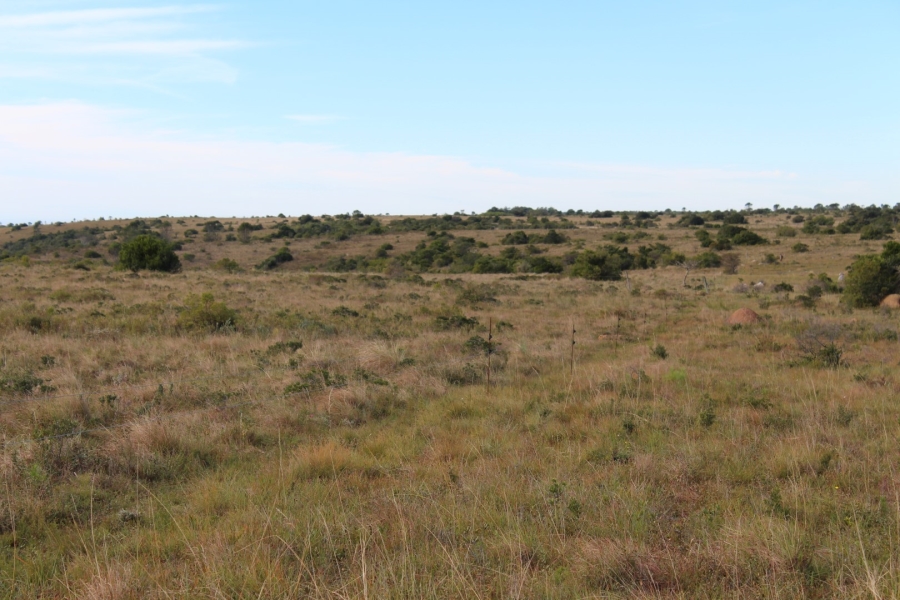 1 Bedroom Property for Sale in Bathurst Rural Eastern Cape